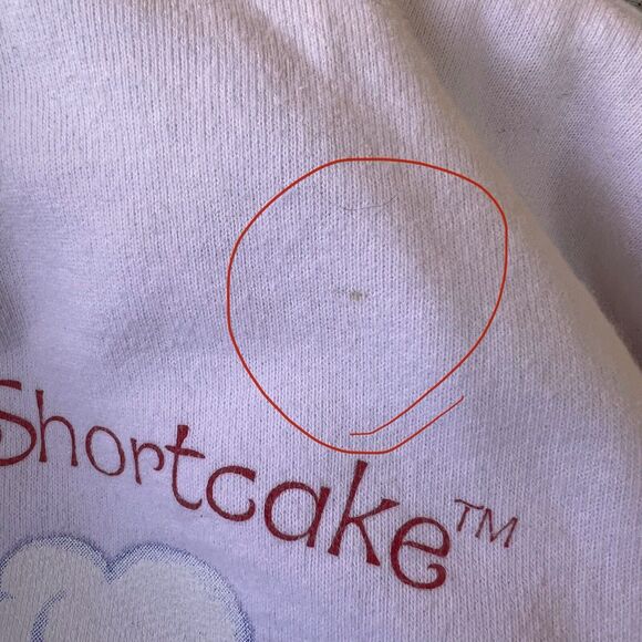 Vintage Strawberry Shortcake Sweatshirt Hoodie Women’s XL Fits Like Large Stain* - Picture 6 of 11